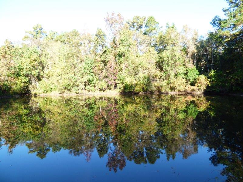 slideshow